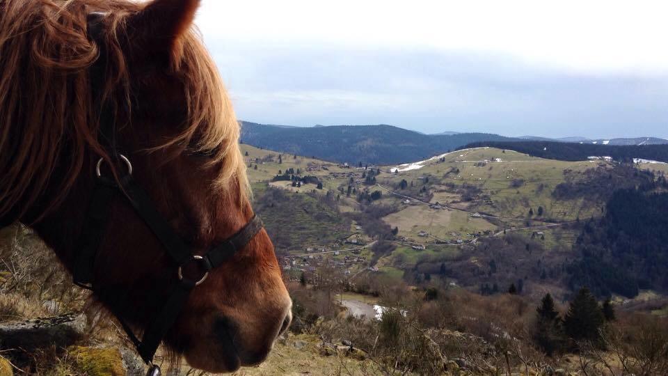 Equi'Val Villa Le Tholy Eksteriør billede
